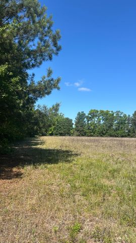 0 Pleasant Grove Road, Walterboro, SC 29488
