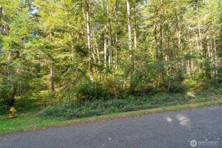 10602 Vantage Drive, Anderson Island, WA 98303