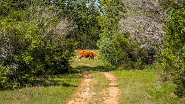 2062 N Fm 1291, Fayetteville, TX 78940
