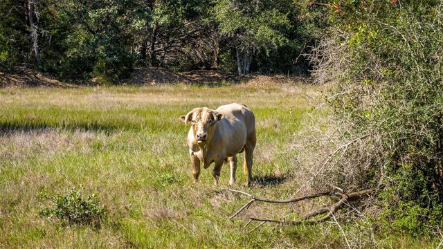 2062 N Fm 1291, Fayetteville, TX 78940