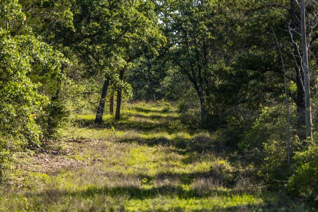 2062 N Fm 1291, Fayetteville, TX 78940