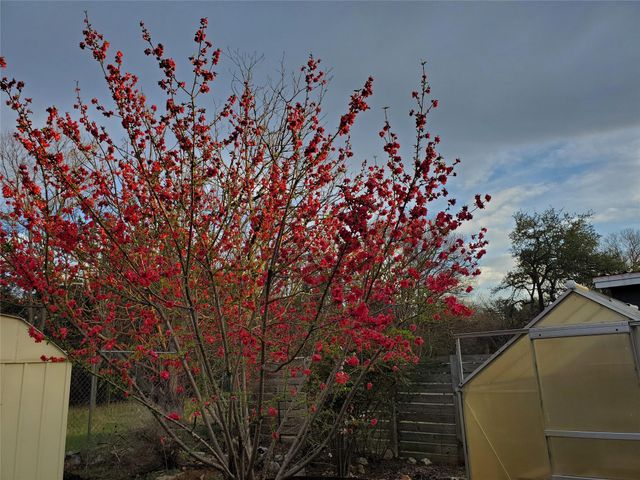 12309 Danny DR, Austin, TX 78759