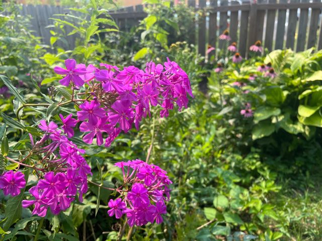 3011 17th Avenue S, Minneapolis, MN 55407