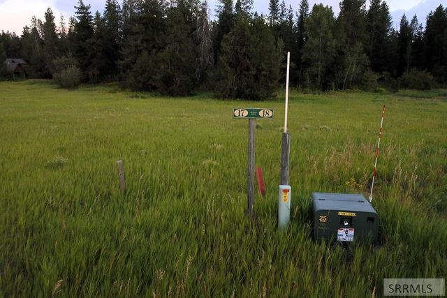 1650 Shadow Loop South, Island Park, ID 83429