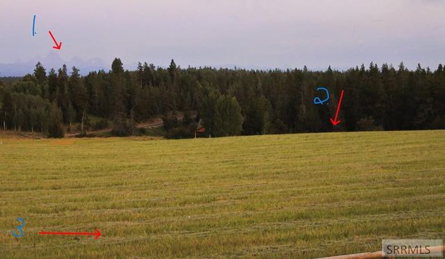 1650 Shadow Loop South, Island Park, ID 83429