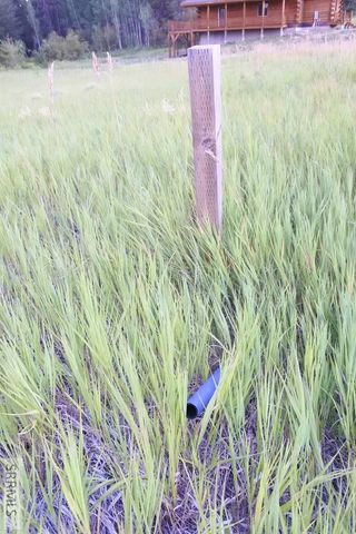 1650 Shadow Loop South, Island Park, ID 83429