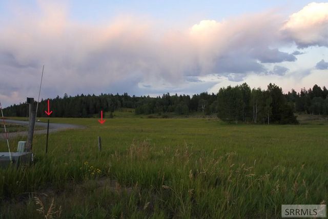 1650 Shadow Loop South, Island Park, ID 83429