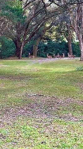 26250 Blackjack Street, Brooksville, FL 34601