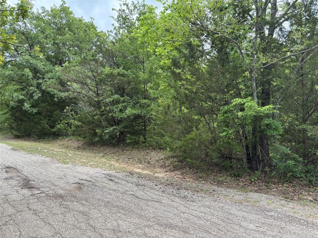 TBD Red Bud Trail, Quinlan, TX 75474