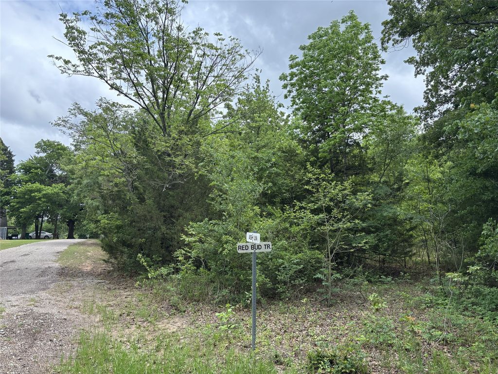 TBD Red Bud Trail, Quinlan, TX 75474