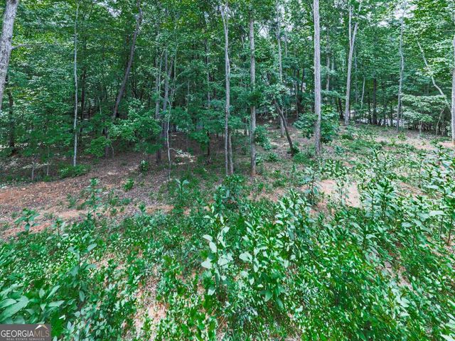 312 Campbell Camp Circle 70, Blue Ridge, GA 30513