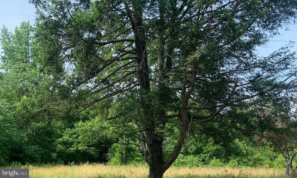 11900 POST OAK RD, Spotsylvania, VA 22551