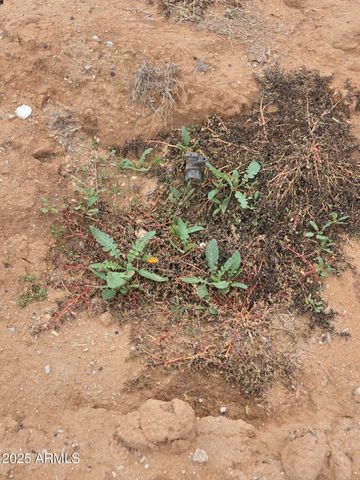 00000 W Elliot Road -, Buckeye, AZ 85326