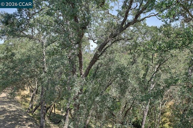 3017 Grey Eagle Dr, Walnut Creek, CA 94595