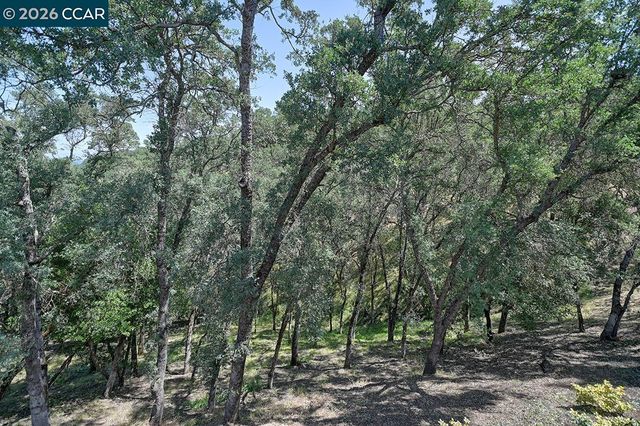 3017 Grey Eagle Dr, Walnut Creek, CA 94595