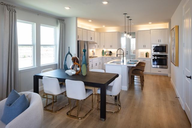 1149 Beautyberry Lane, Celina, TX 75009