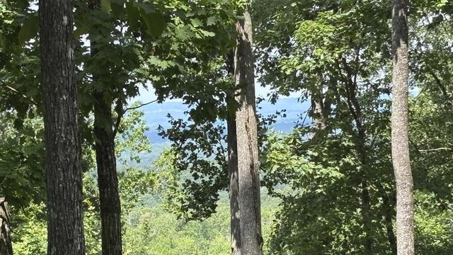 35 High Summit Drive, Talking Rock, GA 30175