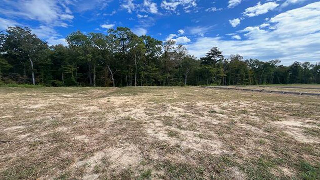 446 Tulip Poplar Drive, Moncks Corner, SC 29461