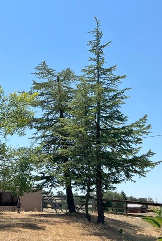 32644 Quail Lane, Yokuts Valley, CA 93675