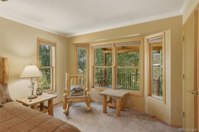 199 Rio Grande Drive, South Fork, CO 81154