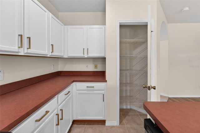 30132 MOSSBANK DRIVE, Wesley Chapel, FL 33543