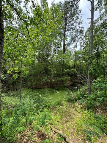 122 Barbil Lane, Houston, TX 77336