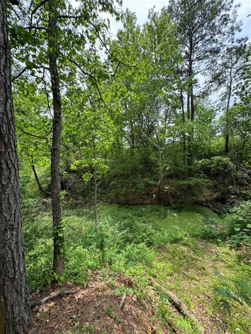 122 Barbil Lane, Houston, TX 77336