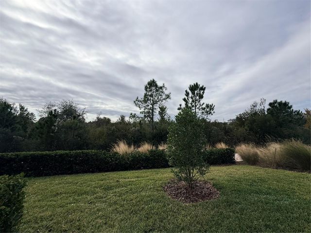 5443 ELMVIEW CROSSING, Wesley Chapel, FL 33545