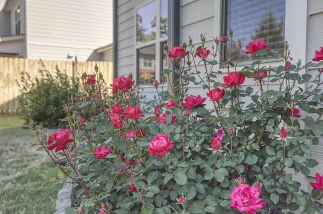 5937 Park Bay Court, Flowery Branch, GA 30542