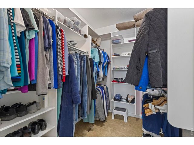 7023 Aladar Dr, Windsor, CO 80550