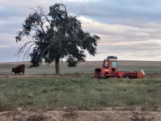 61776 Huckleberry Road, Boone, CO 81025