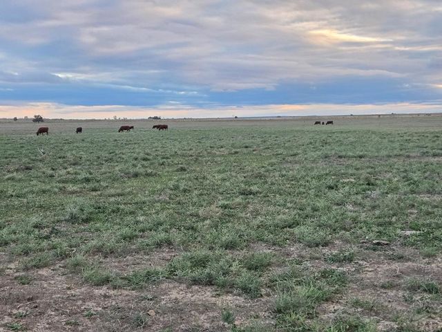 61776 Huckleberry Road, Boone, CO 81025