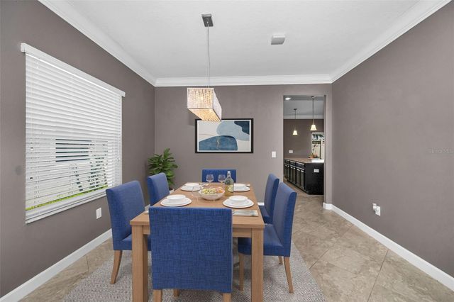 11923 CINNAMON FERN DRIVE, Riverview, FL 33579