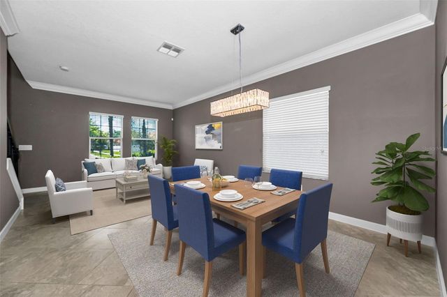 11923 CINNAMON FERN DRIVE, Riverview, FL 33579