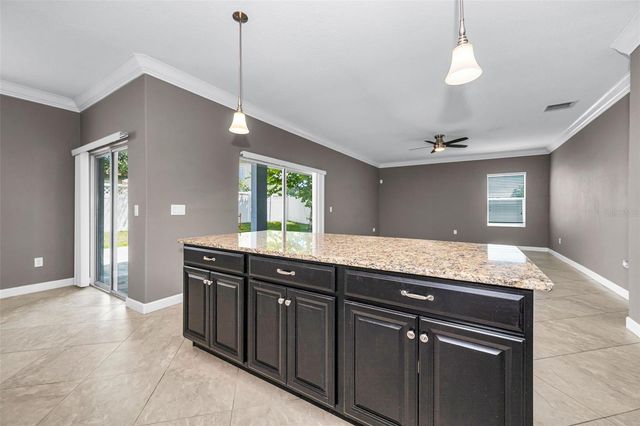 11923 CINNAMON FERN DRIVE, Riverview, FL 33579