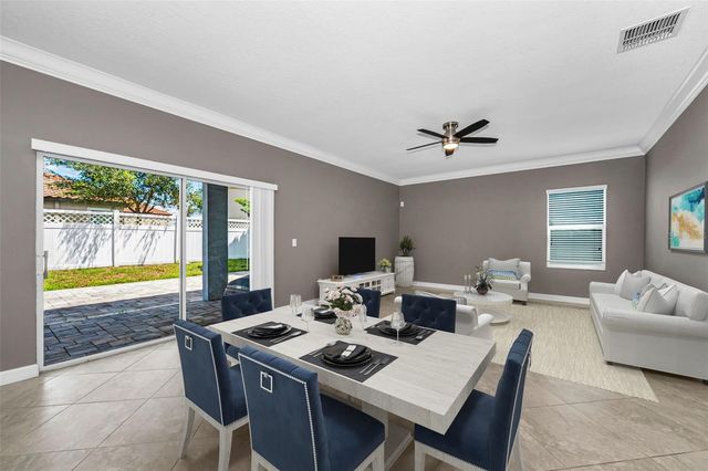 11923 CINNAMON FERN DRIVE, Riverview, FL 33579