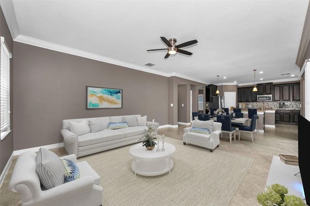 11923 CINNAMON FERN DRIVE, Riverview, FL 33579