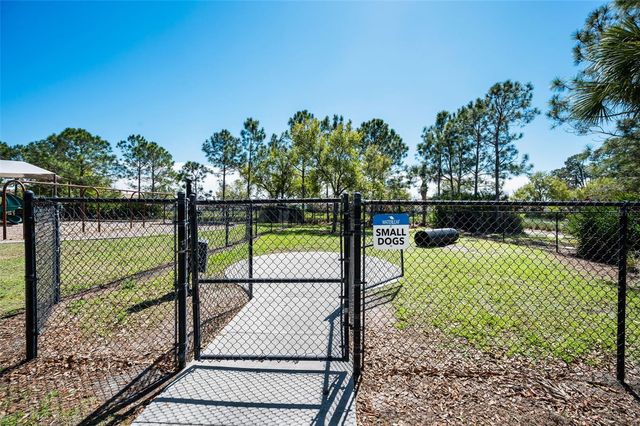 11923 CINNAMON FERN DRIVE, Riverview, FL 33579