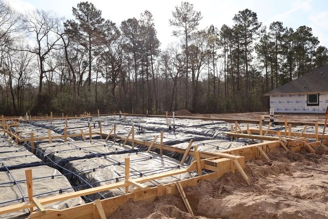 110 Roebuck Lane, New Waverly, TX 77358