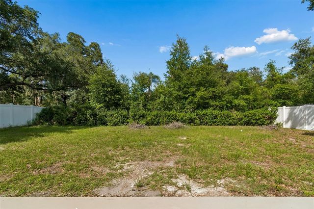 3725 AMBERMIST DRIVE, Tampa, FL 33619