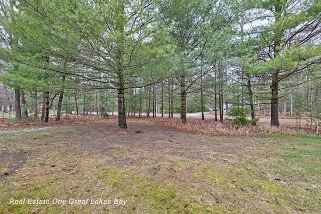 1015 E Lincoln Street, East Tawas, MI 48730