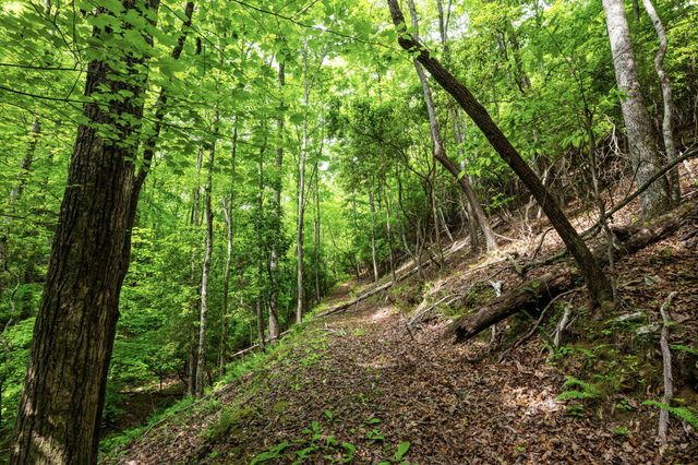 655 Thunder Ridge Drive, South Pittsburg, TN 37380