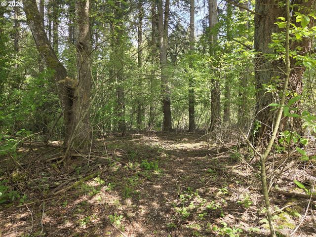 0 Ne 45th Ave, Vancouver, WA 98686