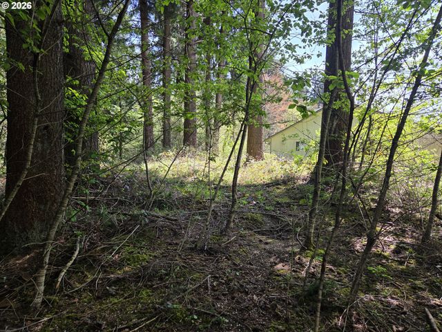 0 Ne 45th Ave, Vancouver, WA 98686