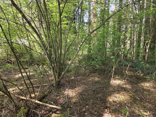 0 Ne 45th Ave, Vancouver, WA 98686