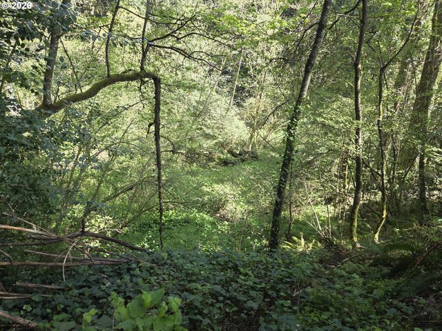 0 Ne 45th Ave, Vancouver, WA 98686