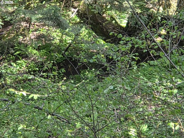 0 Ne 45th Ave, Vancouver, WA 98686