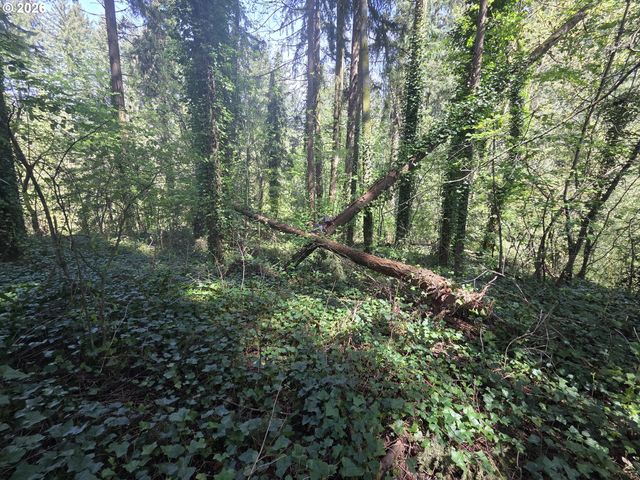 0 Ne 45th Ave, Vancouver, WA 98686