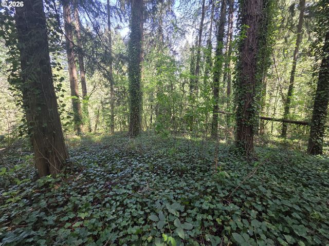 0 Ne 45th Ave, Vancouver, WA 98686