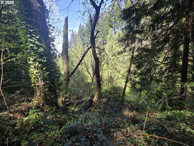 0 Ne 45th Ave, Vancouver, WA 98686